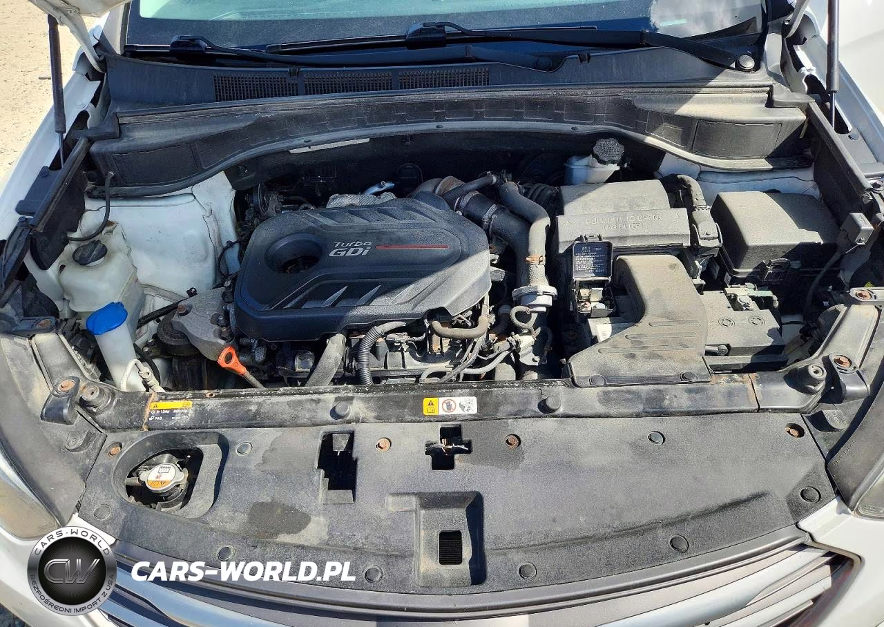 2017 Hyundai Santa Fe Sport 2.0T Ultimate VIN:5XYZWDLA1HG393949 - 12