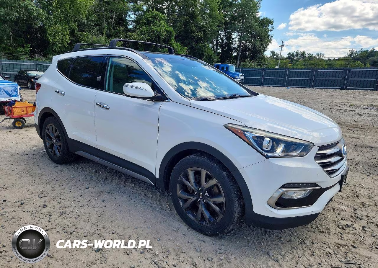 2017 Hyundai Santa Fe Sport 2.0T Ultimate VIN:5XYZWDLA1HG393949 - 4