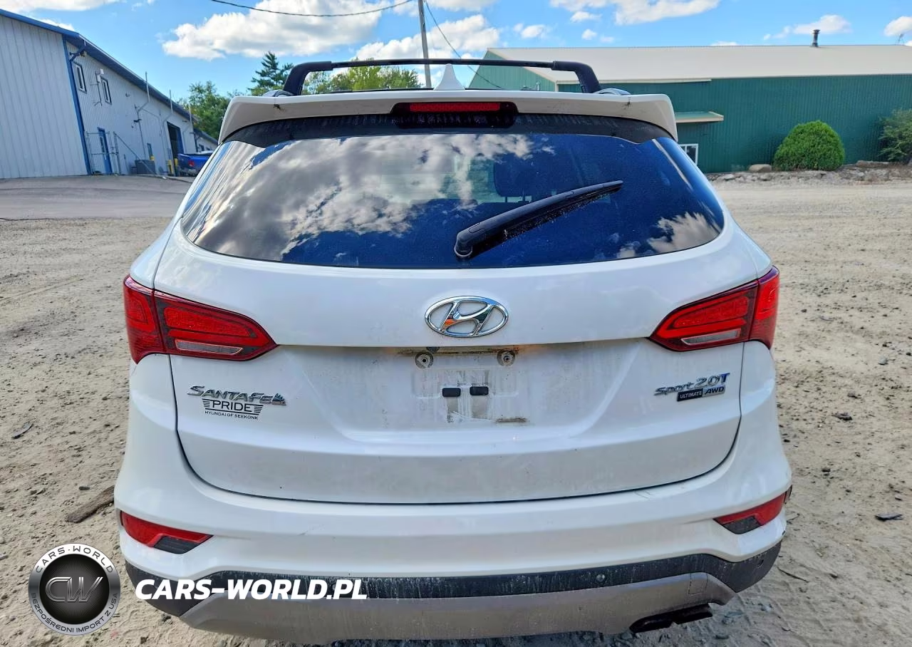 2017 Hyundai Santa Fe Sport 2.0T Ultimate VIN:5XYZWDLA1HG393949 - 6