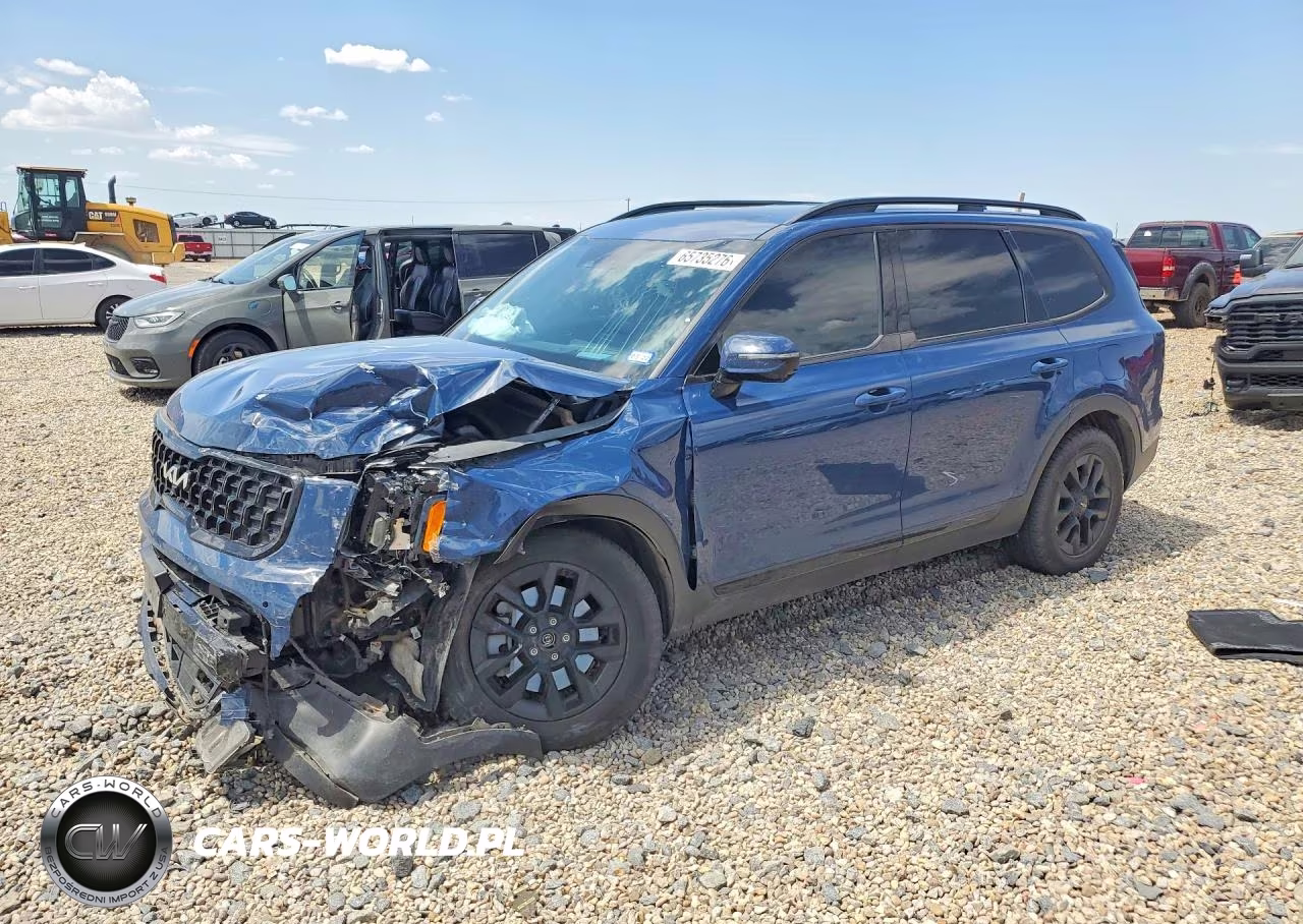 2024 Kia Telluride Sx-Prestige X-Pro VIN:5XYP5DGC3RG483711 - 1
