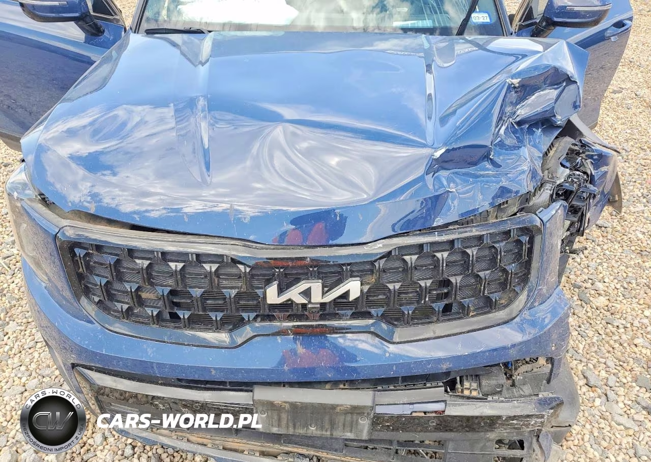 2024 Kia Telluride Sx-Prestige X-Pro VIN:5XYP5DGC3RG483711 - 12