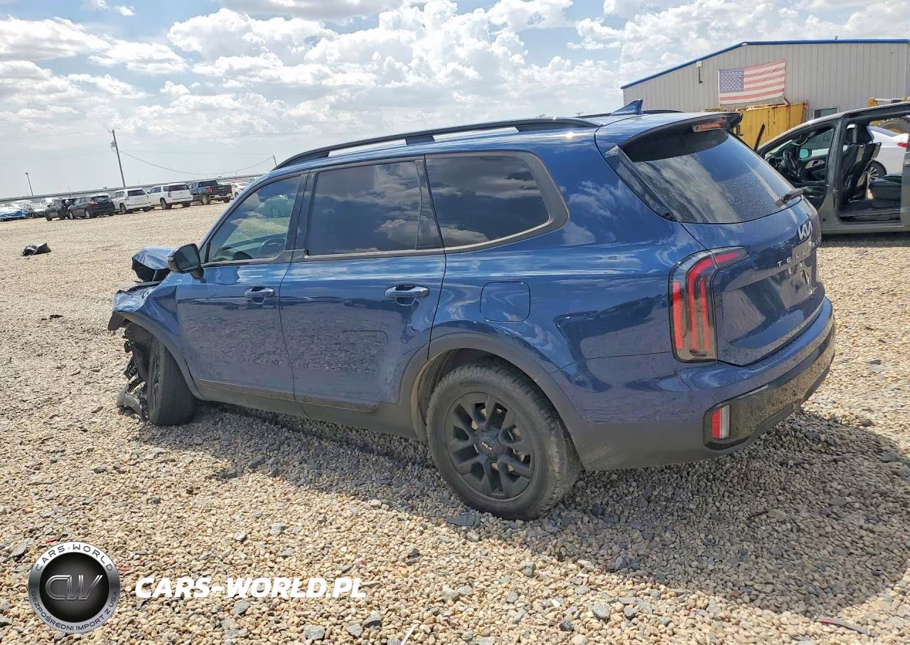 2024 Kia Telluride Sx-Prestige X-Pro VIN:5XYP5DGC3RG483711 - 2