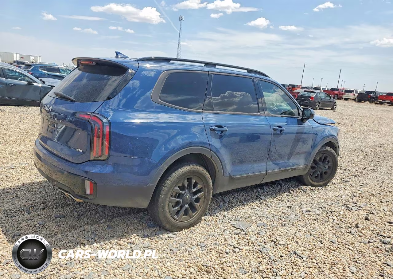 2024 Kia Telluride Sx-Prestige X-Pro VIN:5XYP5DGC3RG483711 - 3