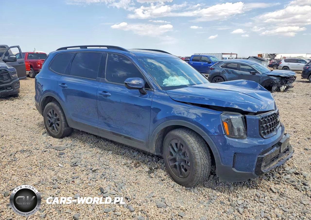 2024 Kia Telluride Sx-Prestige X-Pro VIN:5XYP5DGC3RG483711 - 4