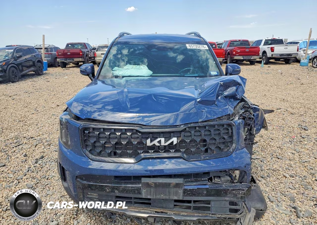 2024 Kia Telluride Sx-Prestige X-Pro VIN:5XYP5DGC3RG483711 - 5
