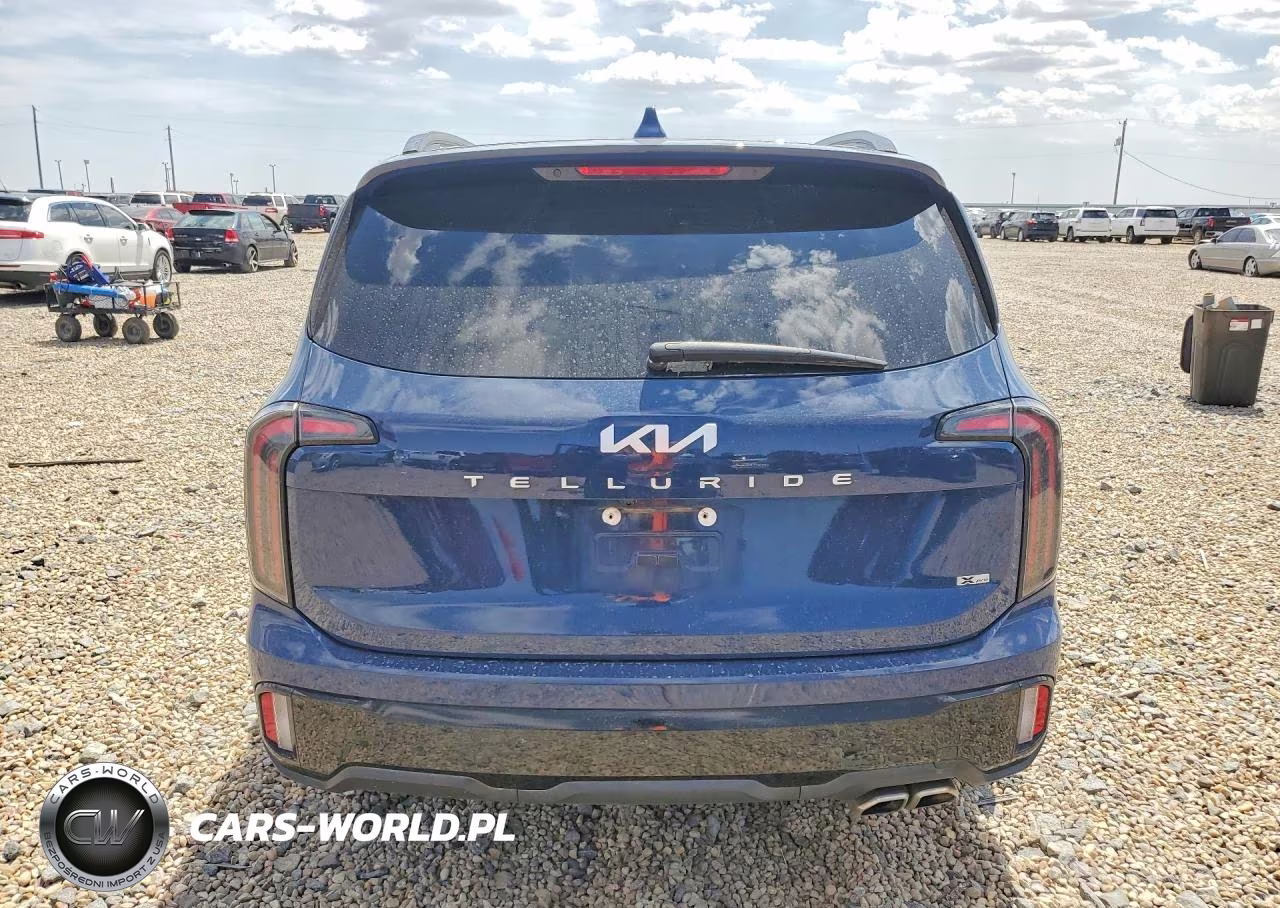 2024 Kia Telluride Sx-Prestige X-Pro VIN:5XYP5DGC3RG483711 - 6