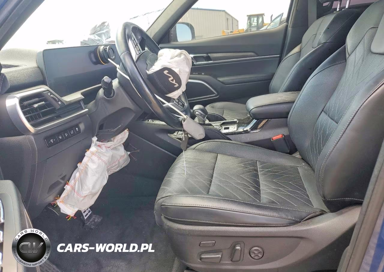 2024 Kia Telluride Sx-Prestige X-Pro VIN:5XYP5DGC3RG483711 - 7