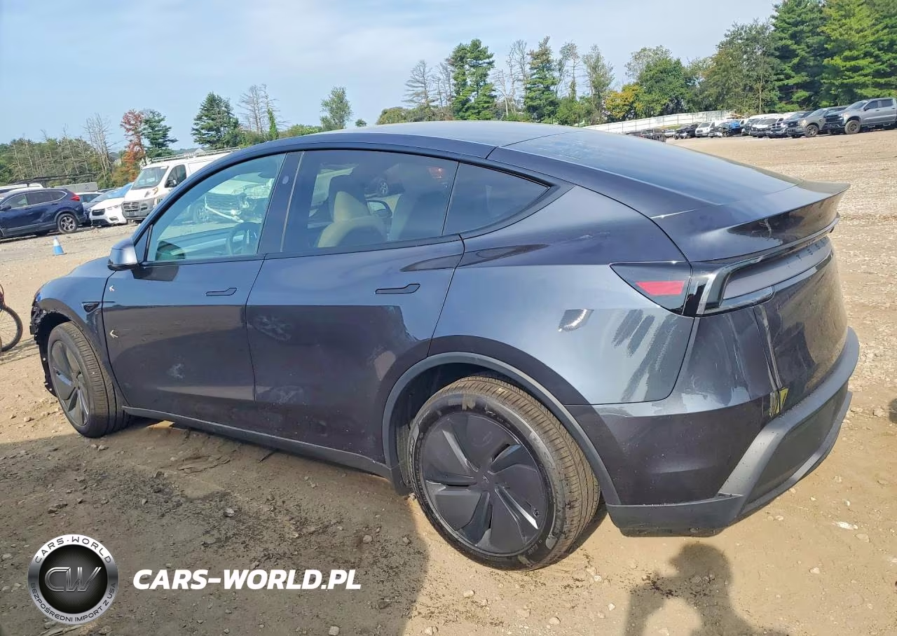 2026 Tesla Model Y VIN:7SAYGDEE3TA703365 - 2
