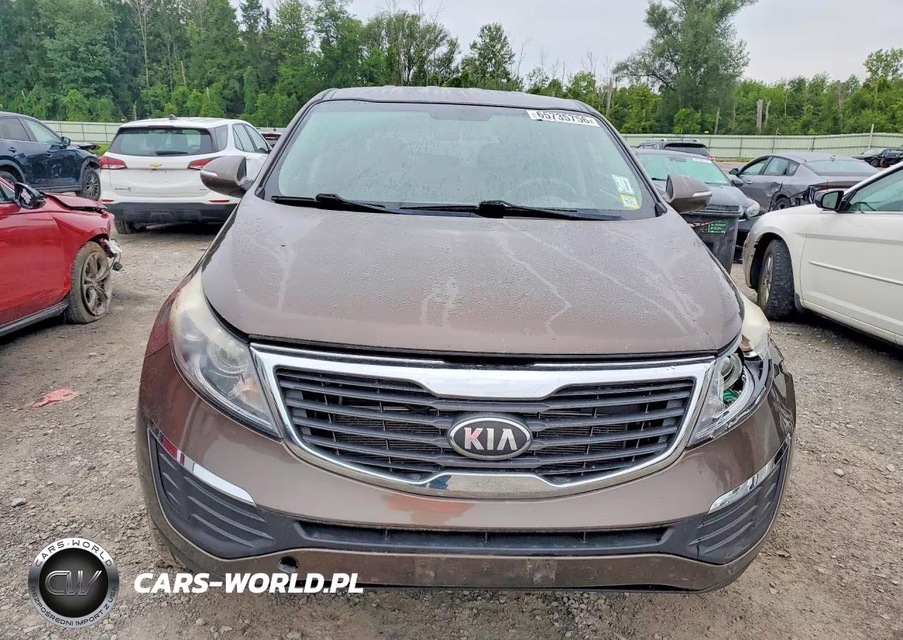 2013 Kia Sportage Lx VIN:KNDPBCA23D7517221 - 5