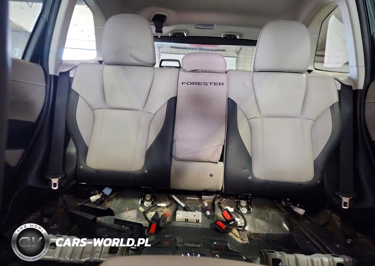 2023 Subaru Forester Limited VIN:JF2SKAPC7PH459211 - 10