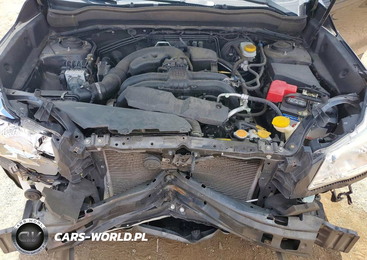 2016 Subaru Forester 2.5I Premium VIN:JF2SJADC6GH565673 - 12