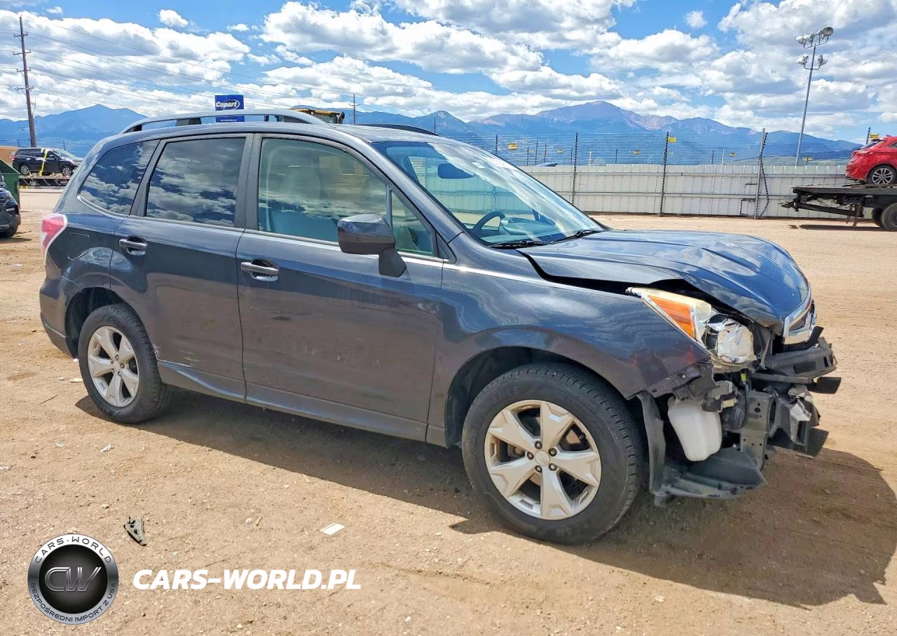 2016 Subaru Forester 2.5I Premium VIN:JF2SJADC6GH565673 - 4