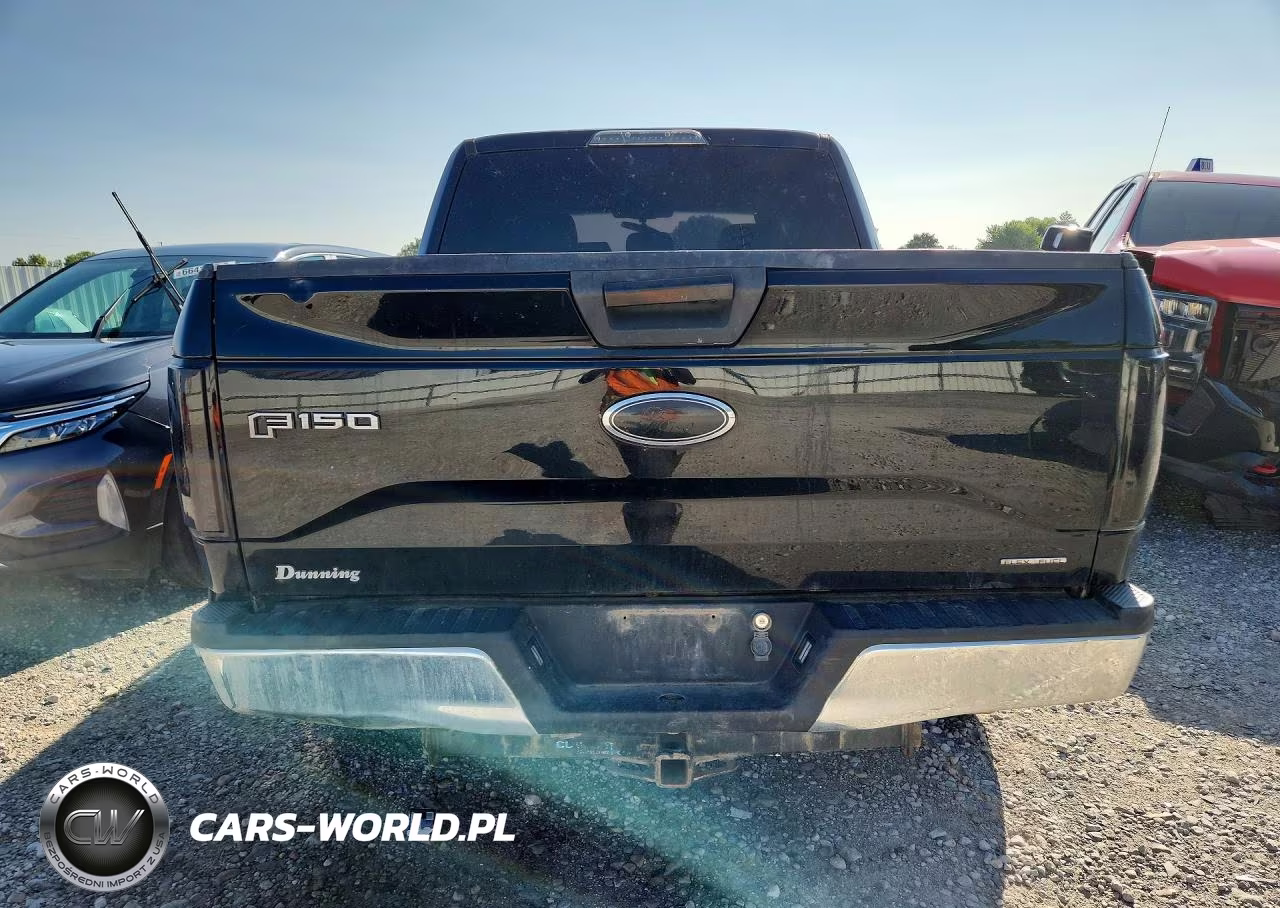 2016 Ford F-150 VIN:1FTEW1EF9GFA23856 - 6