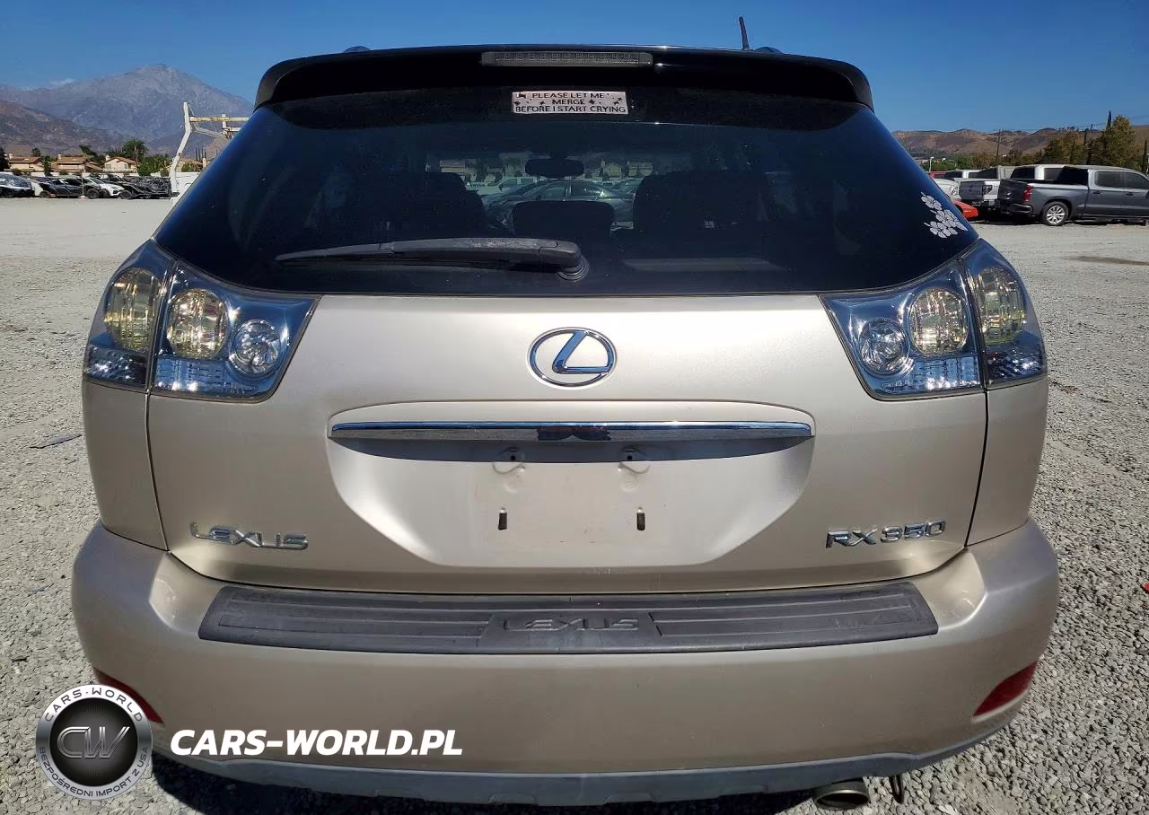 2007 Lexus Rx 350 VIN:2T2GK31U07C003732 - 6