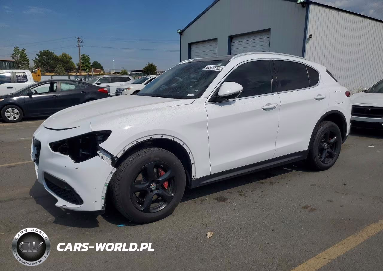 2019 Alfa Romeo Stelvio VIN:ZASPAJANXK7C35440 - 1