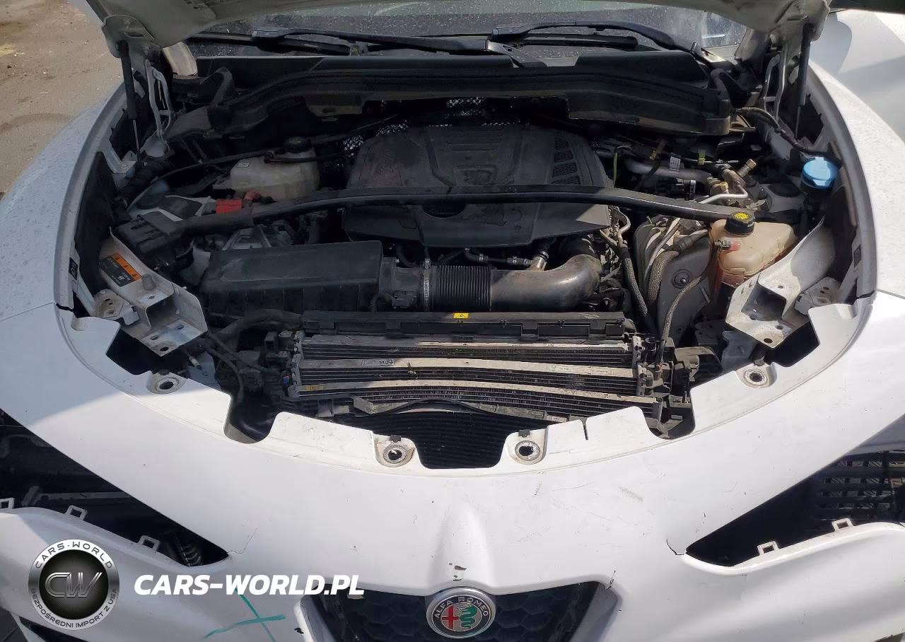 2019 Alfa Romeo Stelvio VIN:ZASPAJANXK7C35440 - 12