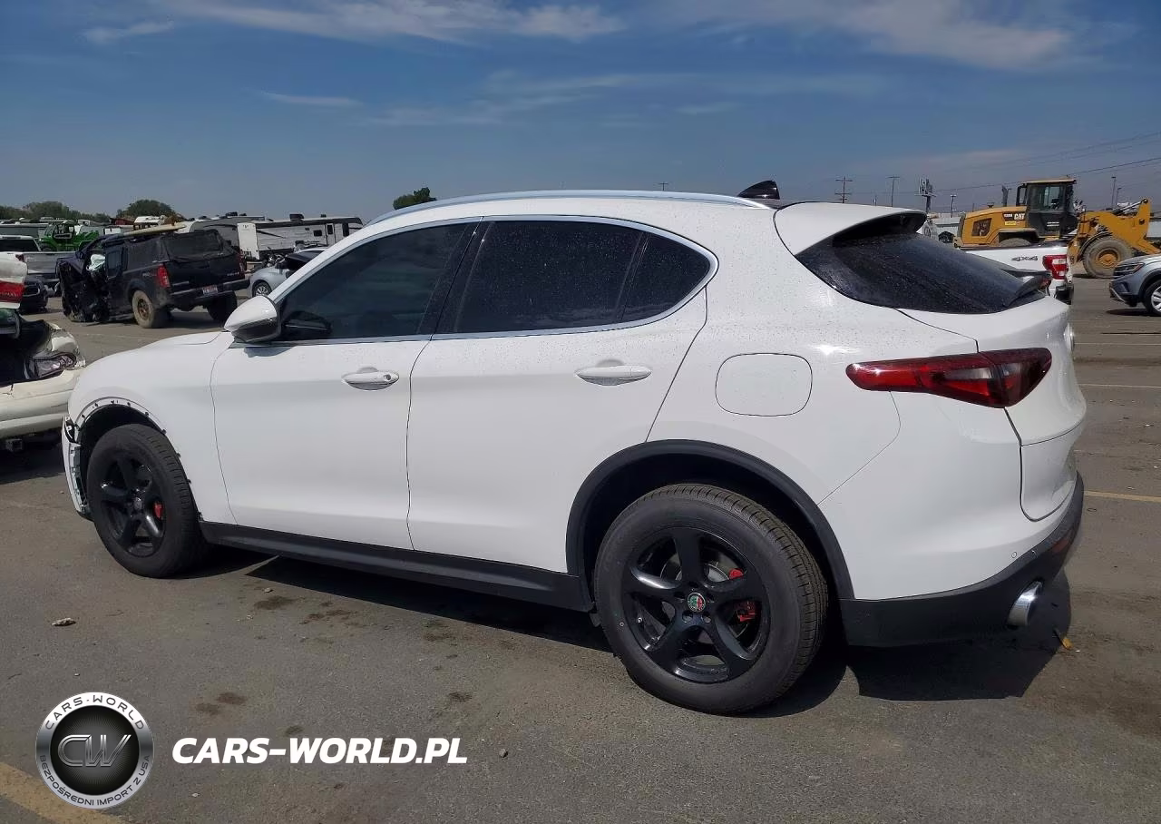 2019 Alfa Romeo Stelvio VIN:ZASPAJANXK7C35440 - 2