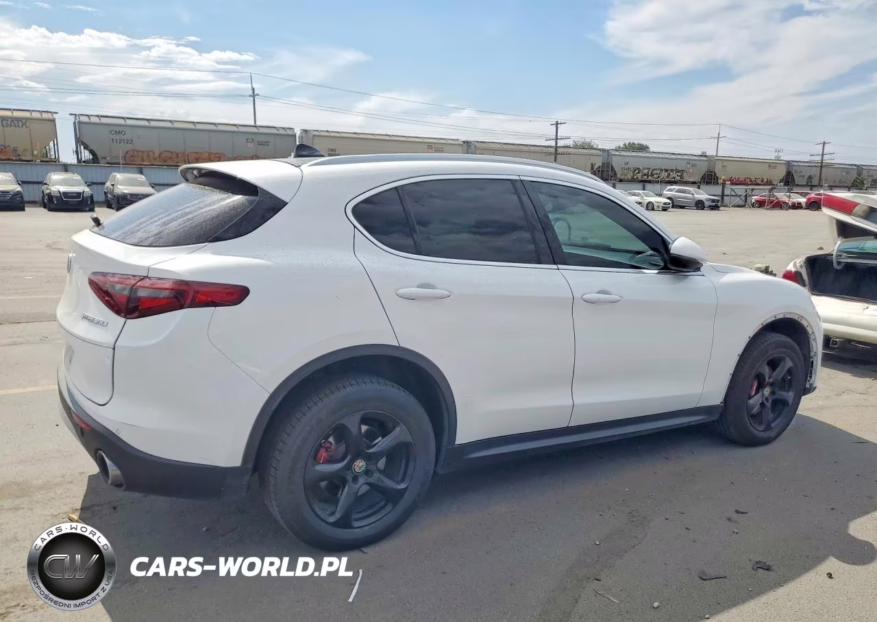 2019 Alfa Romeo Stelvio VIN:ZASPAJANXK7C35440 - 3