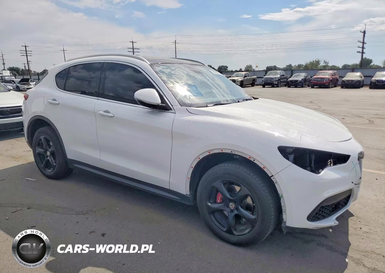 2019 Alfa Romeo Stelvio VIN:ZASPAJANXK7C35440 - 4
