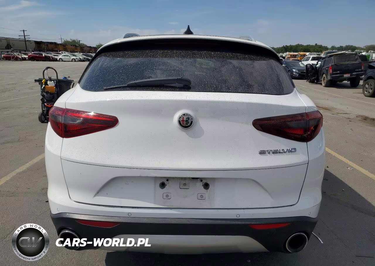 2019 Alfa Romeo Stelvio VIN:ZASPAJANXK7C35440 - 6