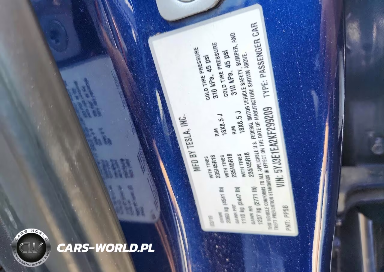 2019 Tesla Model 3 VIN:5YJ3E1EA2KF299209 - 12