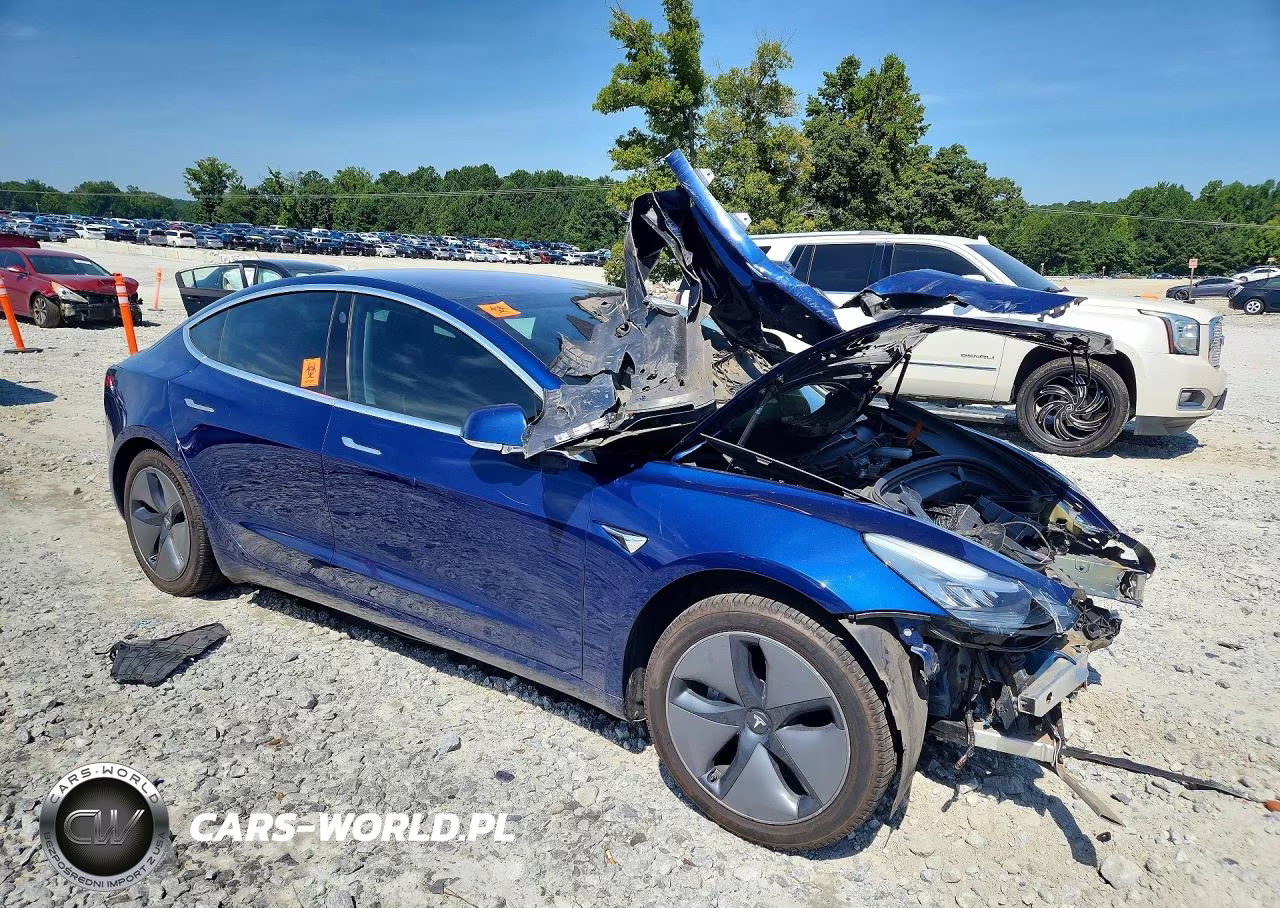 2019 Tesla Model 3 VIN:5YJ3E1EA2KF299209 - 4