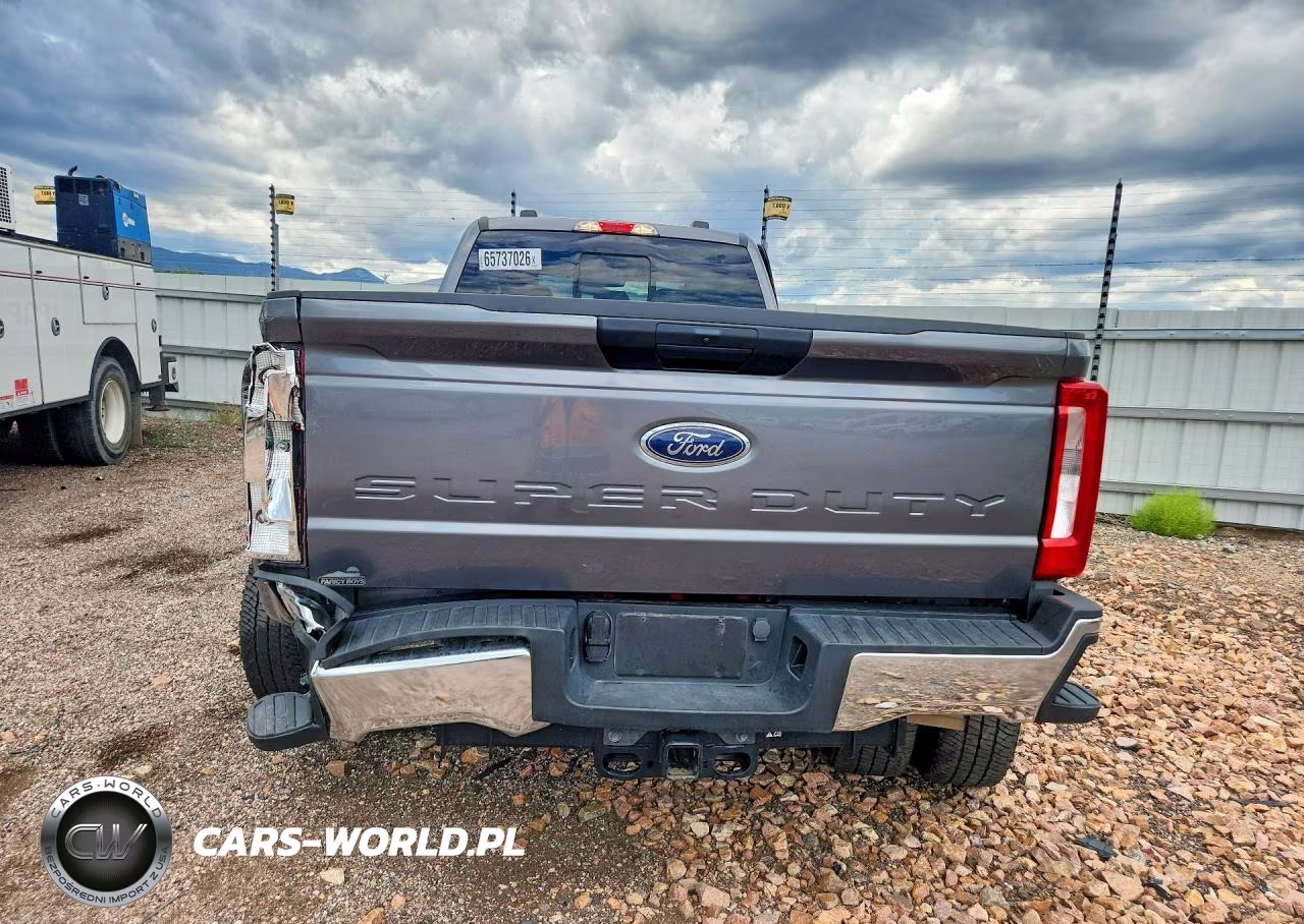 2024 Ford F350 Super Duty VIN:1FT8W3DT9RED99868 - 6