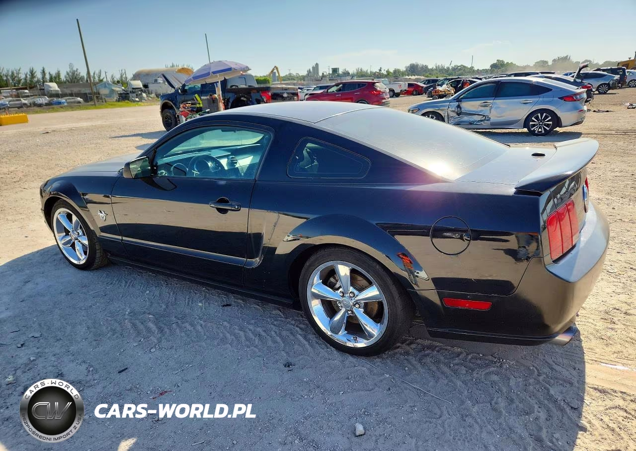 2009 Ford Mustang Gt VIN:1ZVHT82H795102520 - 2
