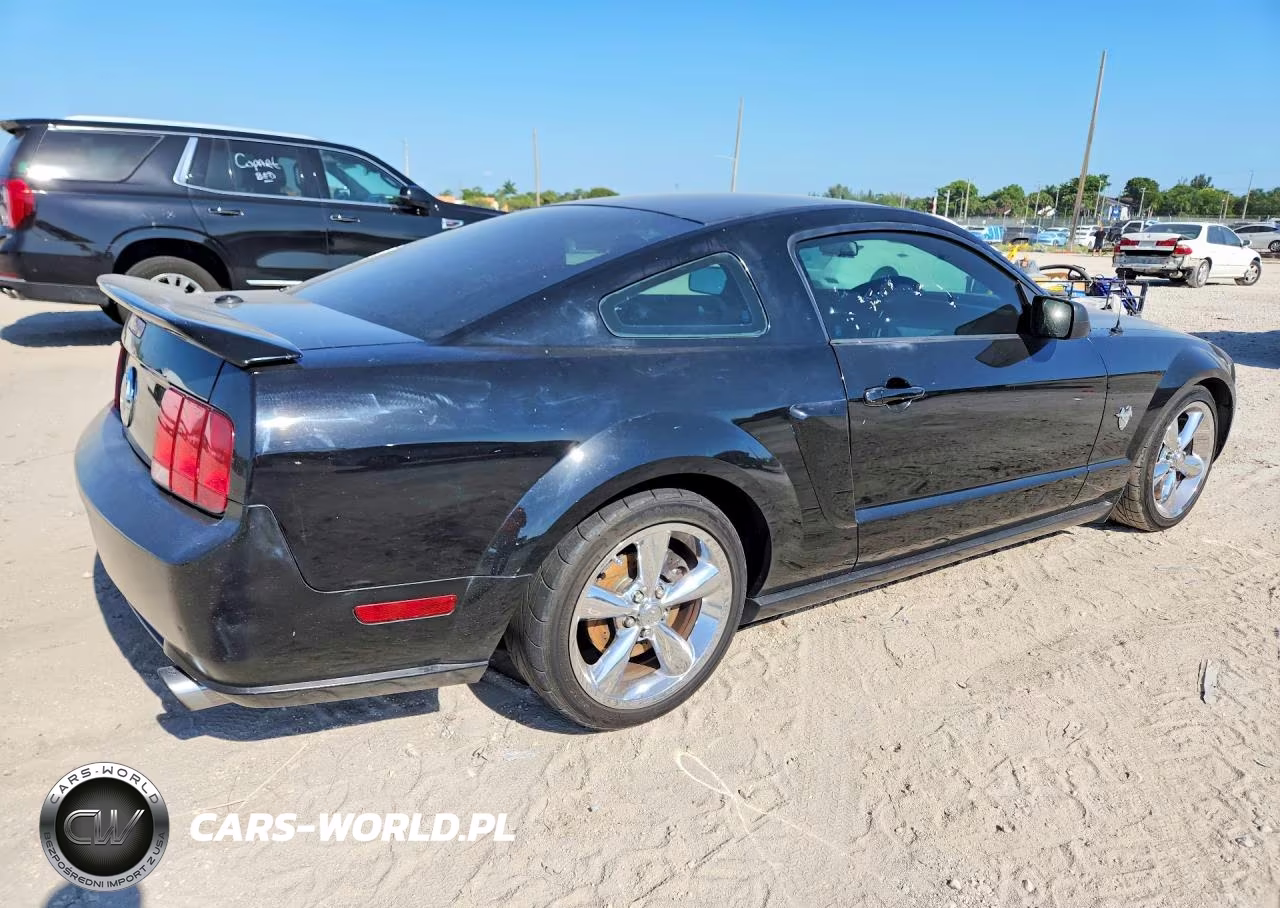 2009 Ford Mustang Gt VIN:1ZVHT82H795102520 - 3