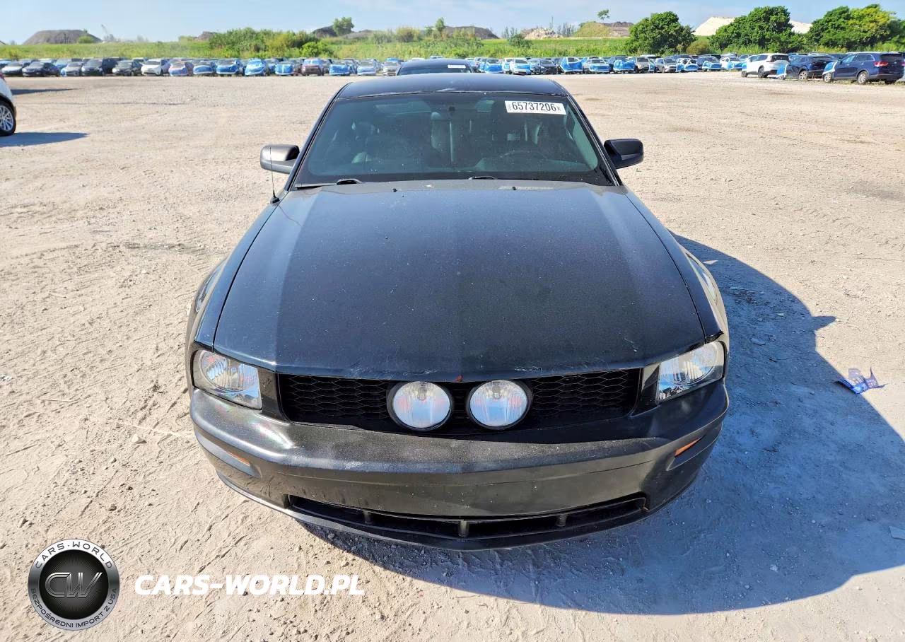 2009 Ford Mustang Gt VIN:1ZVHT82H795102520 - 5