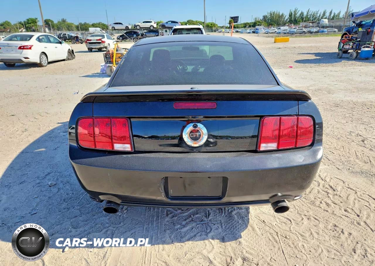 2009 Ford Mustang Gt VIN:1ZVHT82H795102520 - 6