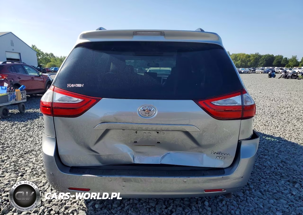 2016 Toyota Sienna Xle 8-Passenger VIN:5TDYK3DC6GS701913 - 6