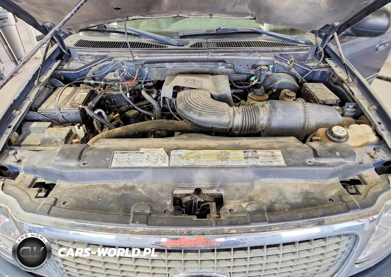 2001 Ford Expedition Xlt VIN:1FMPU16L81LB33496 - 11
