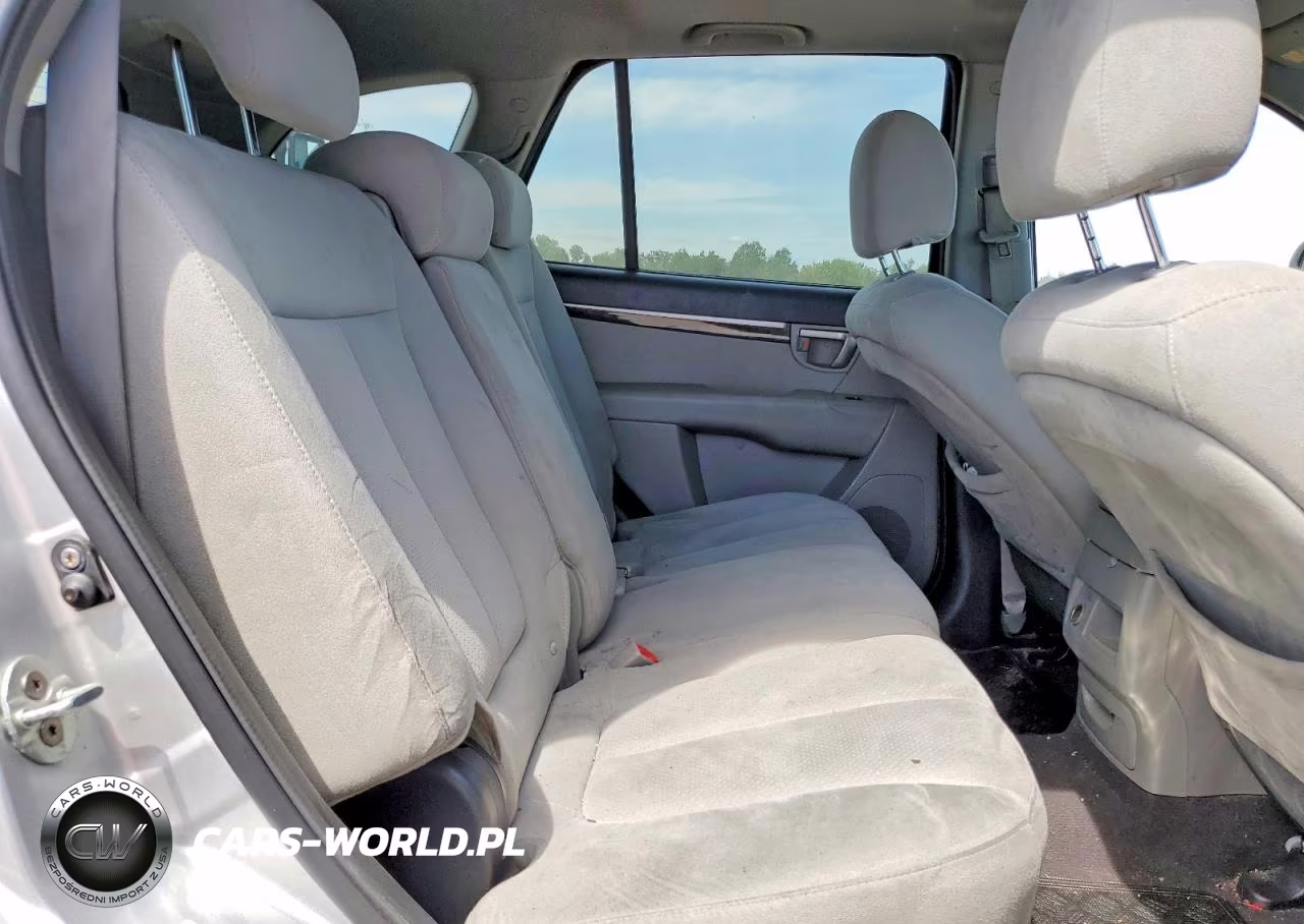 2009 Hyundai Santa Fe Se VIN:5NMSH13E09H238846 - 11