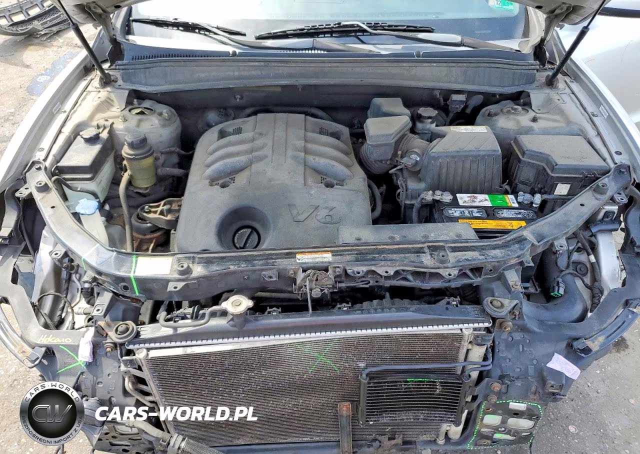 2009 Hyundai Santa Fe Se VIN:5NMSH13E09H238846 - 12