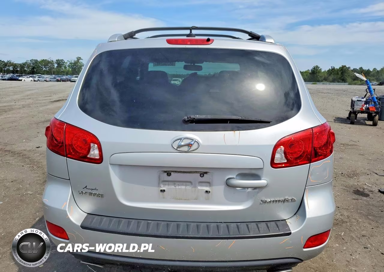 2009 Hyundai Santa Fe Se VIN:5NMSH13E09H238846 - 6