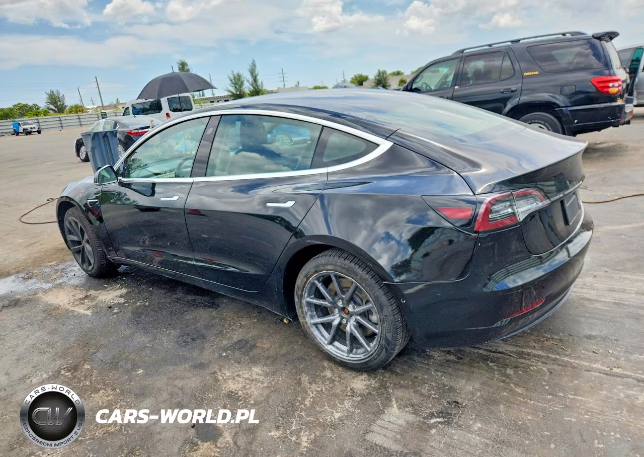 2019 Tesla Model 3 VIN:5YJ3E1EA6KF398213 - 2