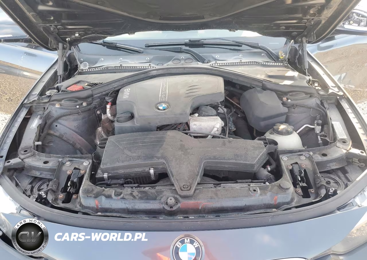 2014 BMW 328 Xi Sulev VIN:WBA3B5G50ENS09929 - 11