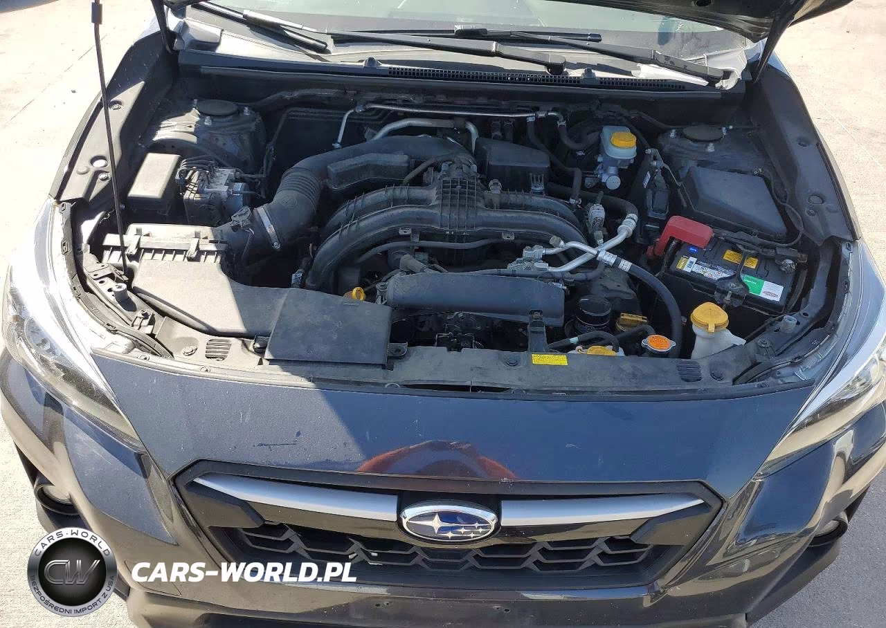 2019 Subaru Crosstrek Premium VIN:JF2GTACC1K8274363 - 11