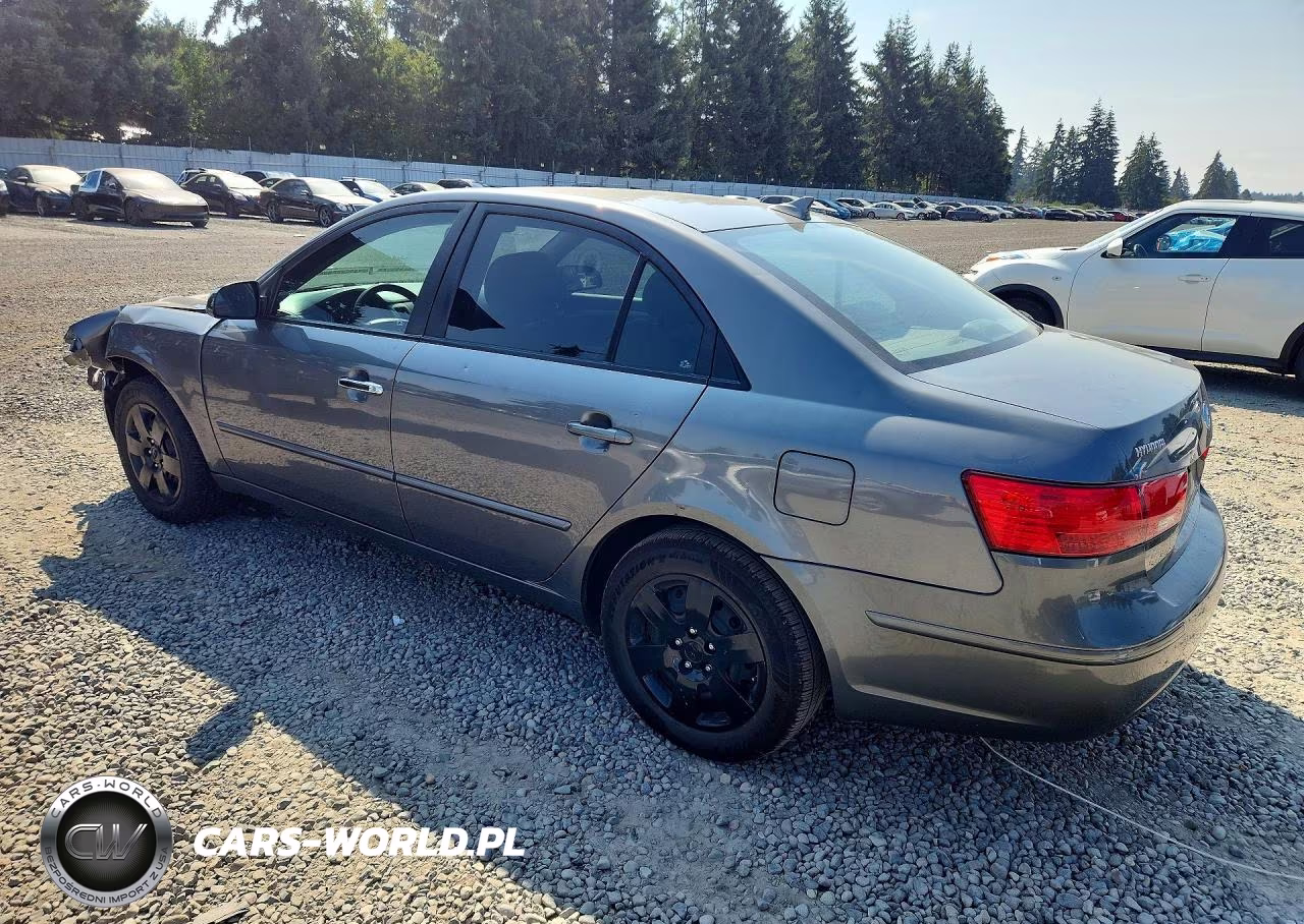 2010 Hyundai Sonata Gls VIN:5NPET4AC8AH629555 - 2