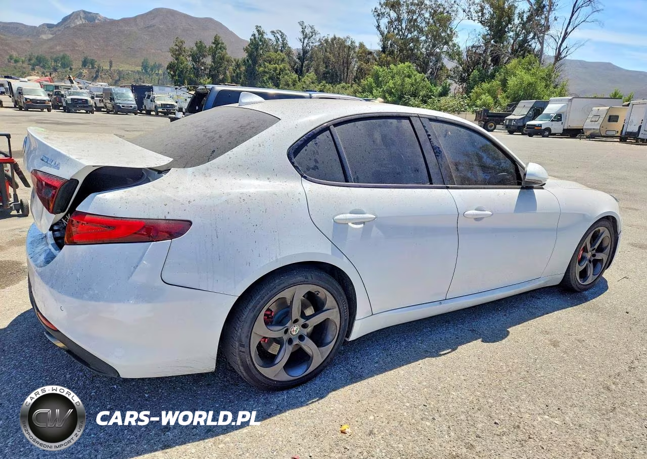 2017 Alfa Romeo Giulia VIN:ZARFAEBN6H7549224 - 3