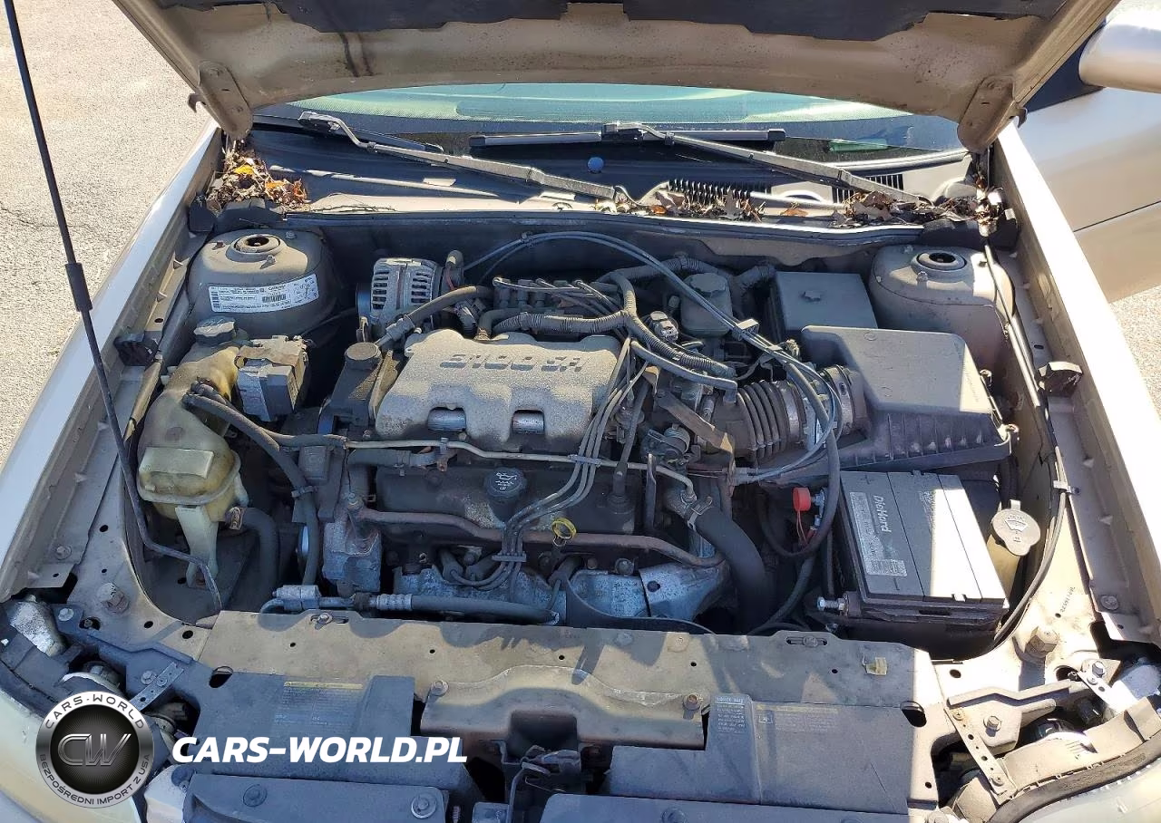 2003 Chevrolet Malibu Ls VIN:1G1NE52J93M687446 - 11