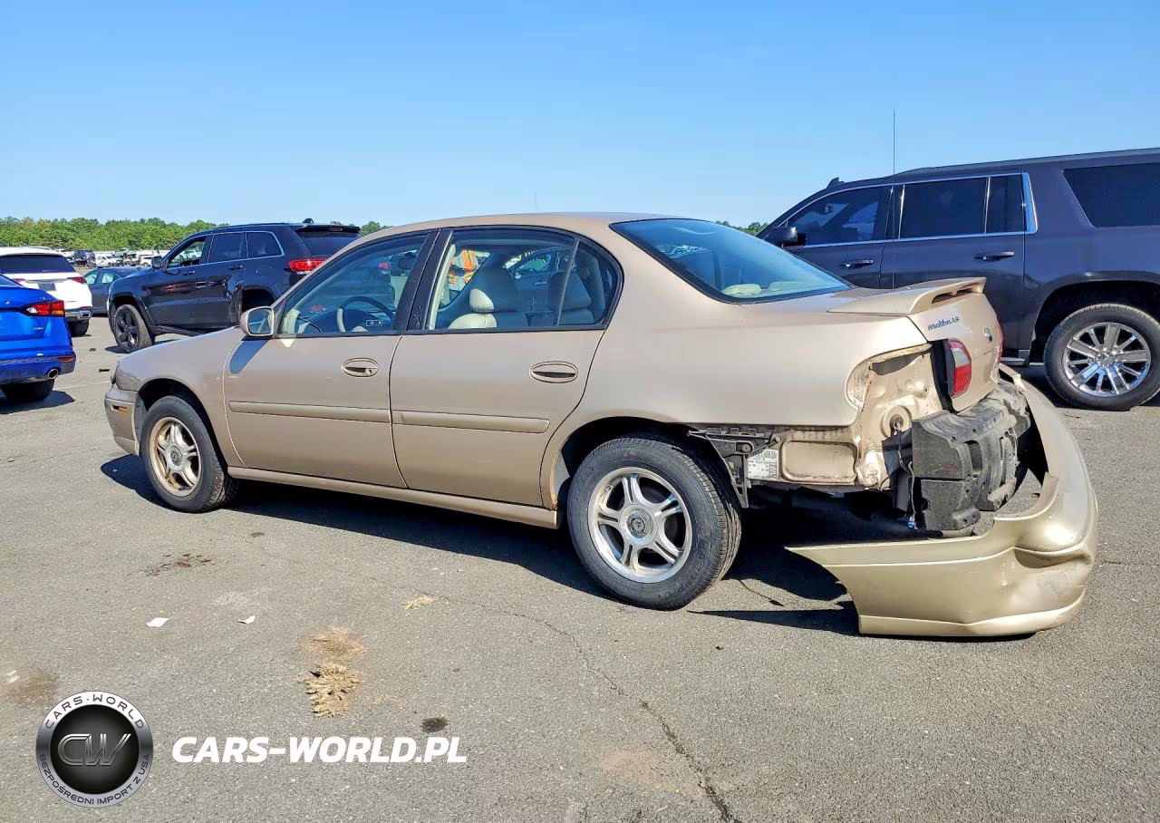 2003 Chevrolet Malibu Ls VIN:1G1NE52J93M687446 - 2