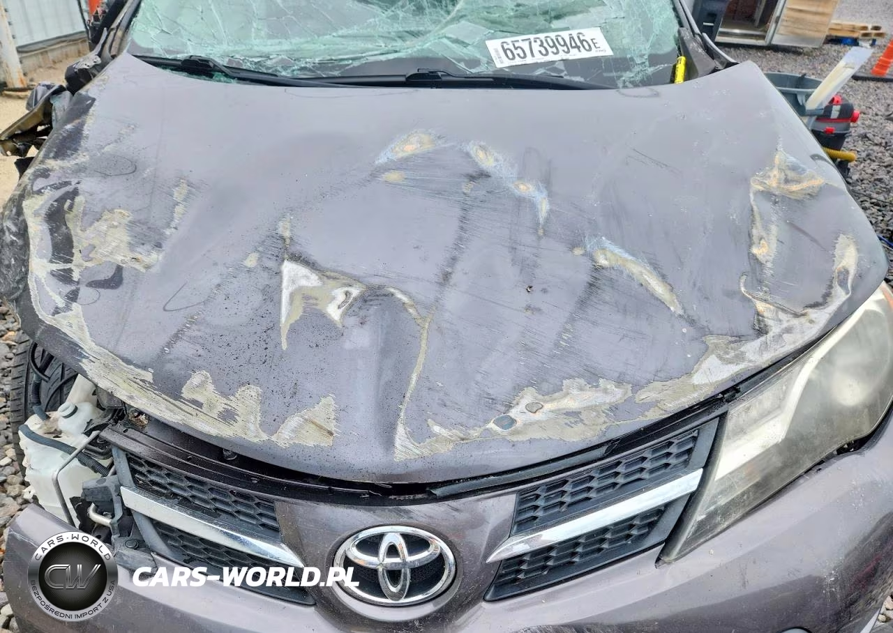 2014 Toyota Rav4 Xle VIN:2T3WFREVXEW126502 - 12