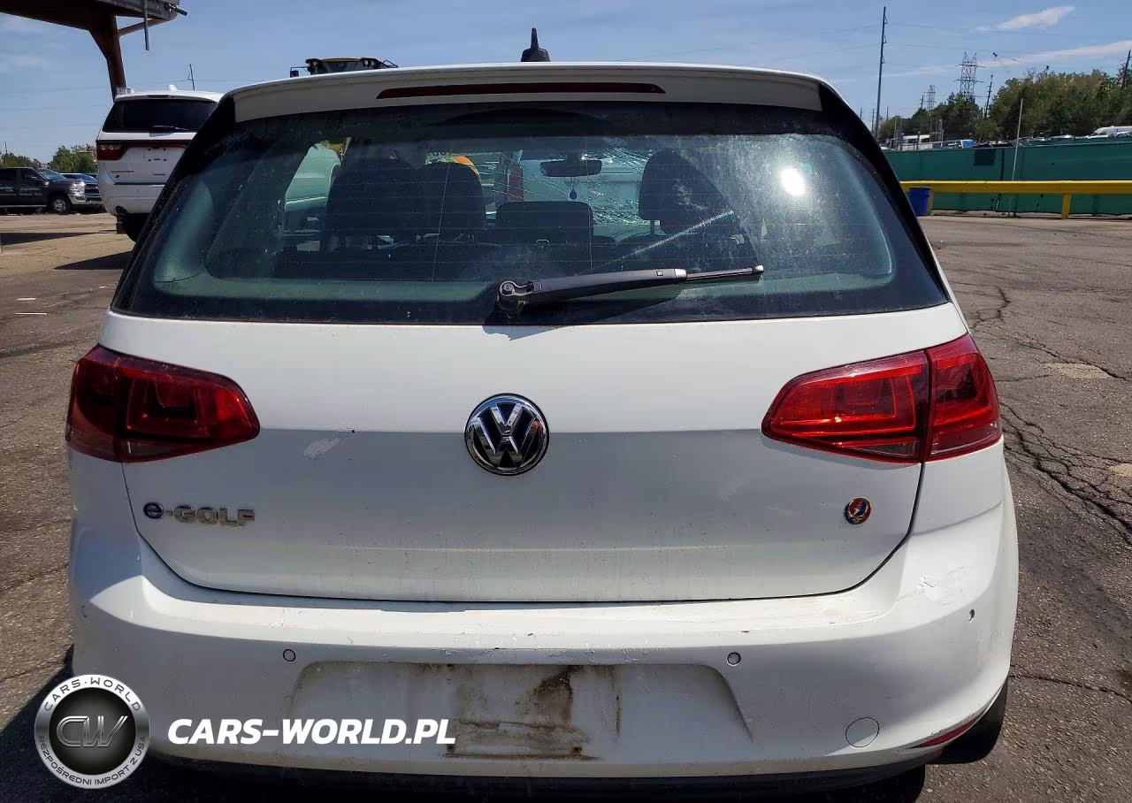 2016 Volkswagen E-Golf Sel Premium VIN:WVWPP7AU4GW915364 - 6