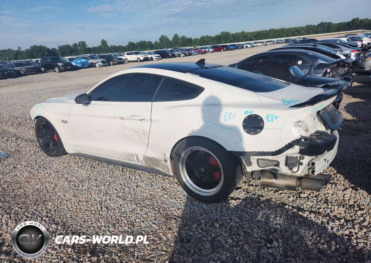 2020 Ford Mustang Gt VIN:1FA6P8CF1L5184527 - 2
