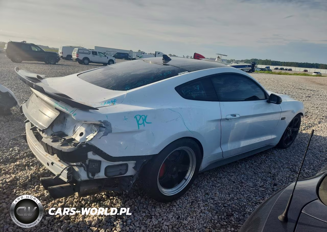 2020 Ford Mustang Gt VIN:1FA6P8CF1L5184527 - 3