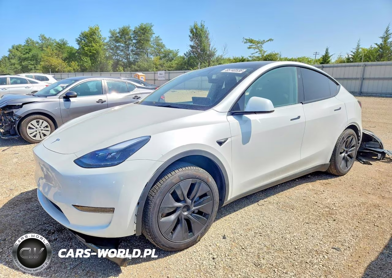 2025 Tesla Model Y VIN:7SAYGDEDXSF247860 - 1