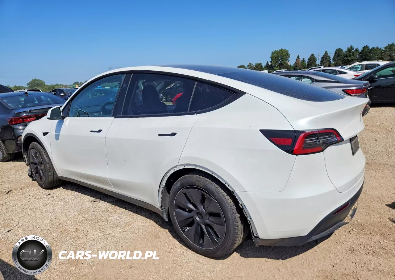 2025 Tesla Model Y VIN:7SAYGDEDXSF247860 - 2