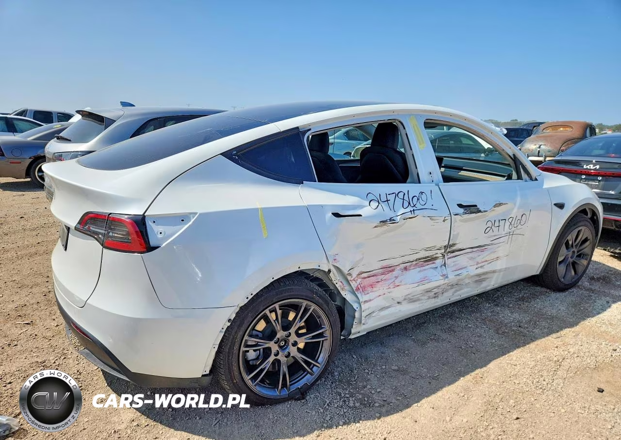 2025 Tesla Model Y VIN:7SAYGDEDXSF247860 - 3